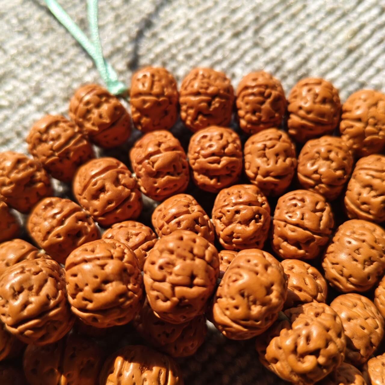 树王大尺寸五瓣小金刚