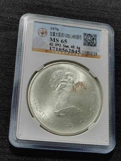 天下钱庄专场欢迎参拍 - 加拿大10加元银币，925银
