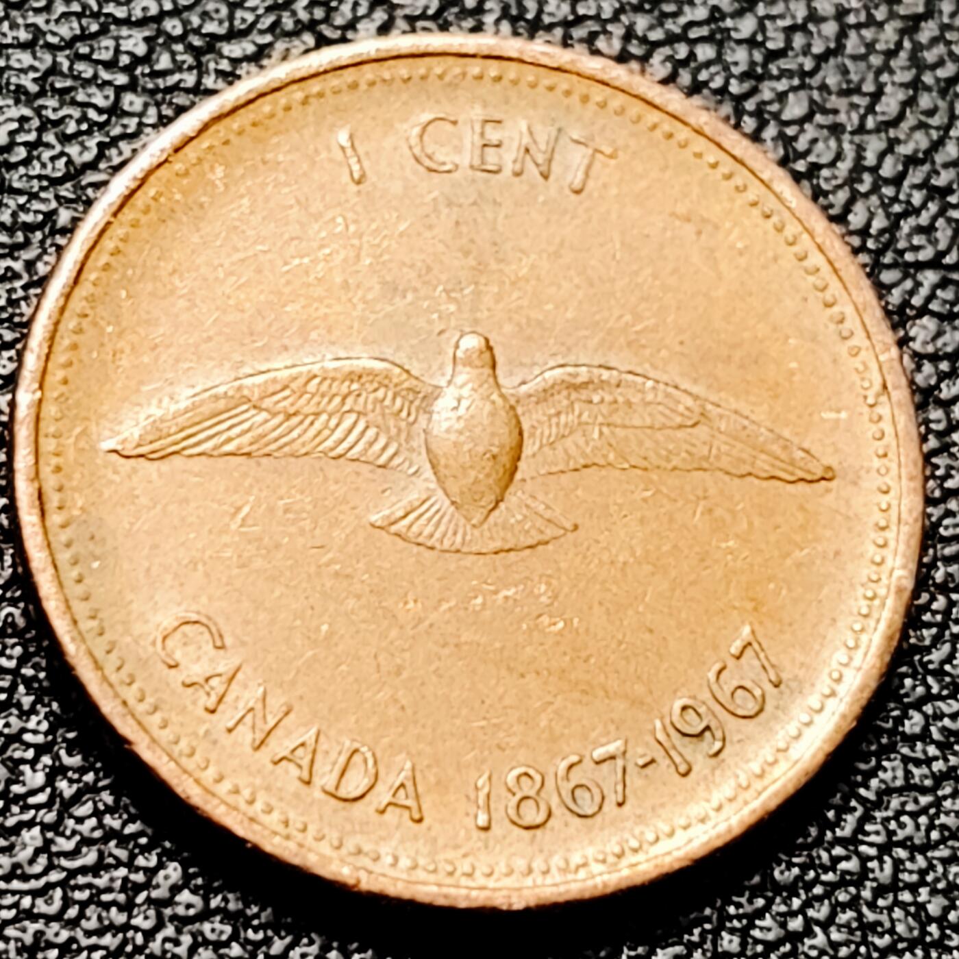 泉币菌-第215场-拍品多 请提前出价（工作最近较忙 发货不及时，望理解） 。