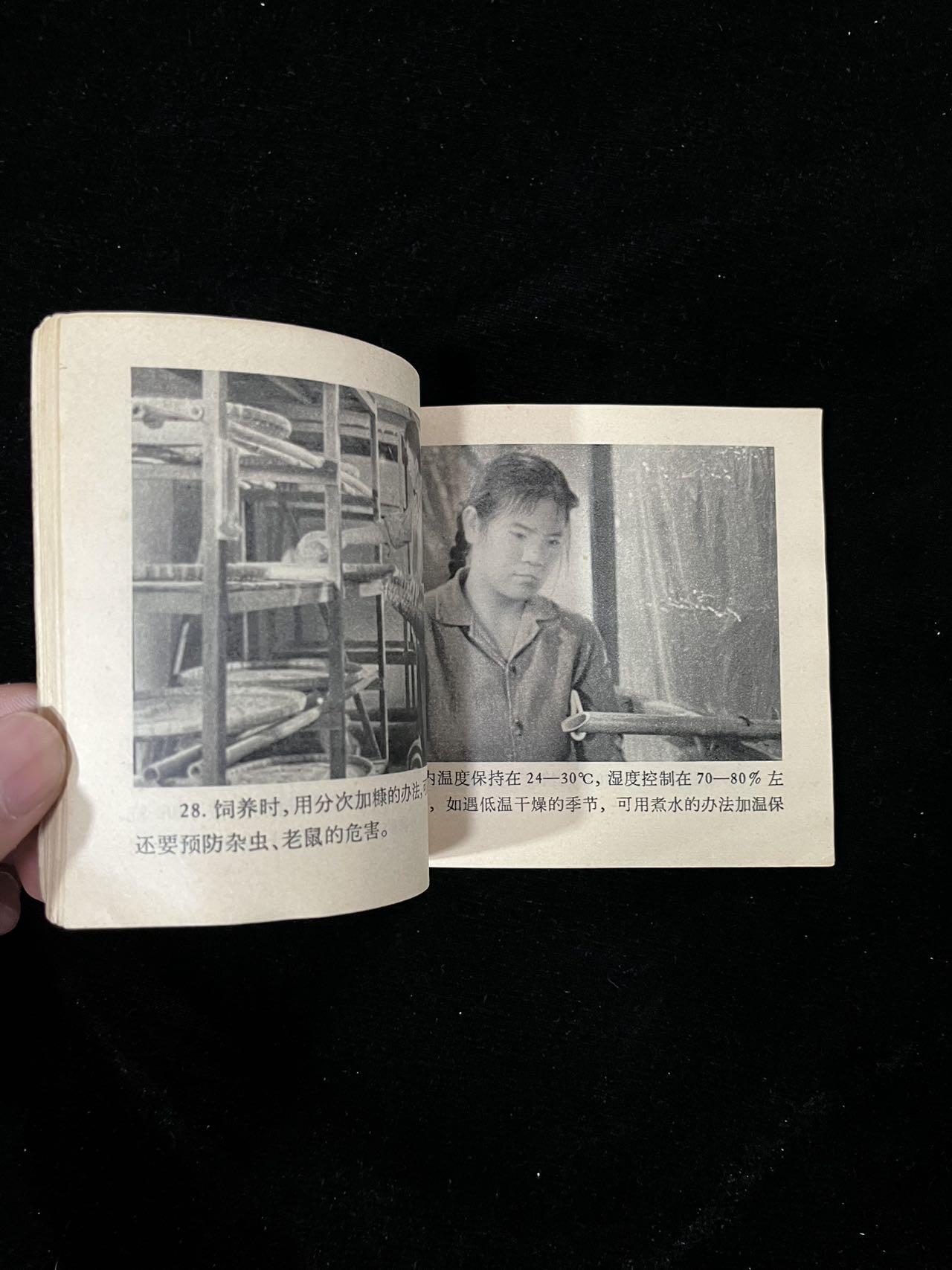 【麦稀奇首场】连环画拍卖 育蜂治虫