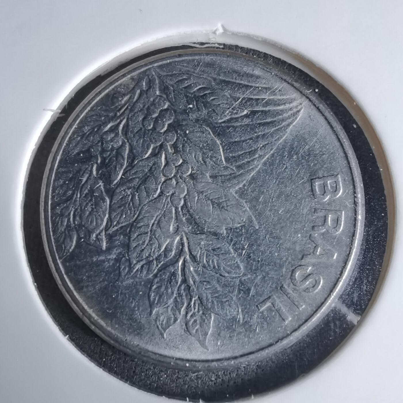 沼泽如烟--第1029场 巴西1981年5克鲁塞罗