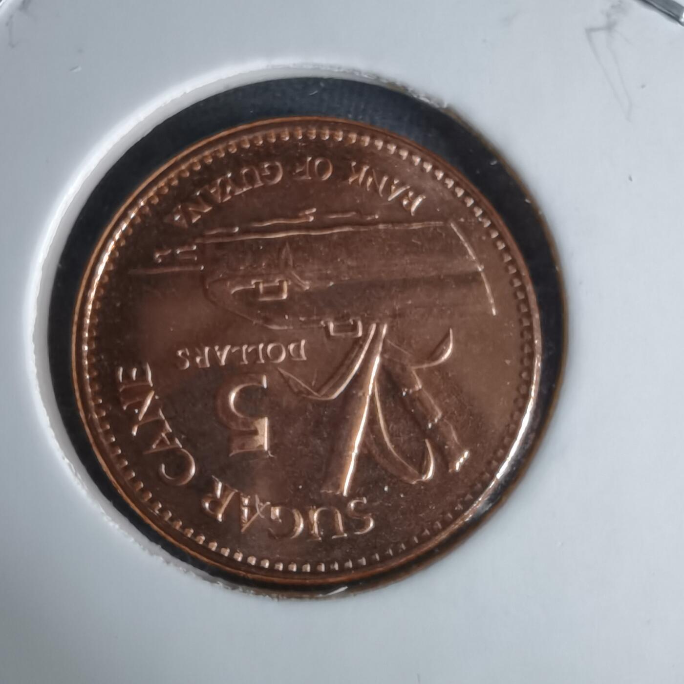 沼泽如烟--第1029场 圭亚那2019年五元