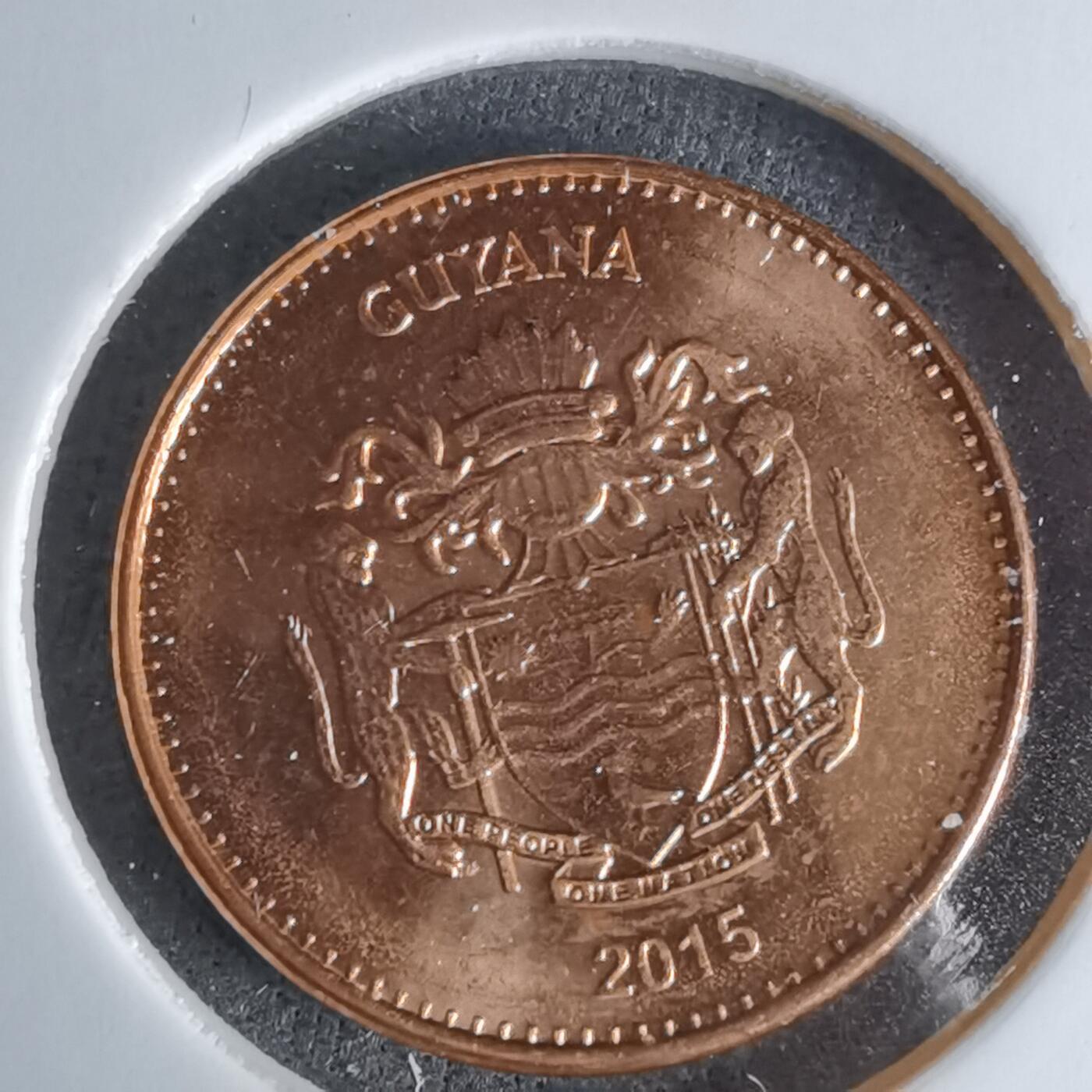 沼泽如烟--第1029场 圭亚那2015年一元