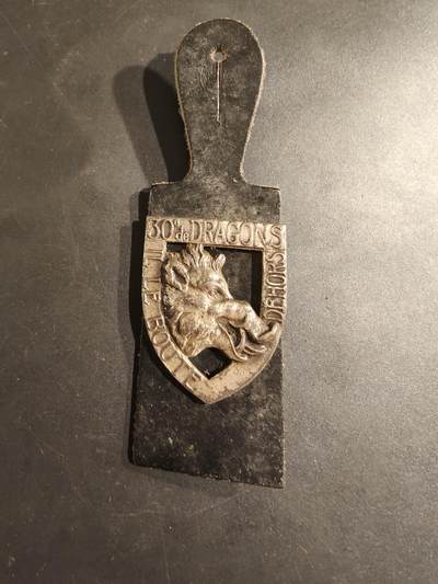 老王徽章第188期 - 法国陆军第30龙骑兵团证章