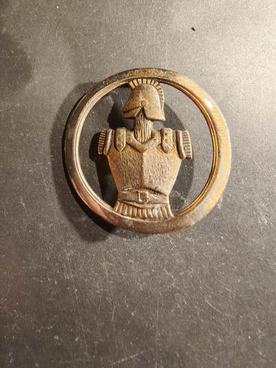 老王徽章第188期 - 法国工兵金色贝雷帽徽