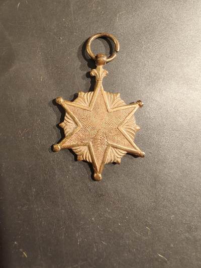 老王徽章第188期 - 南越战伤奖章    无绶带