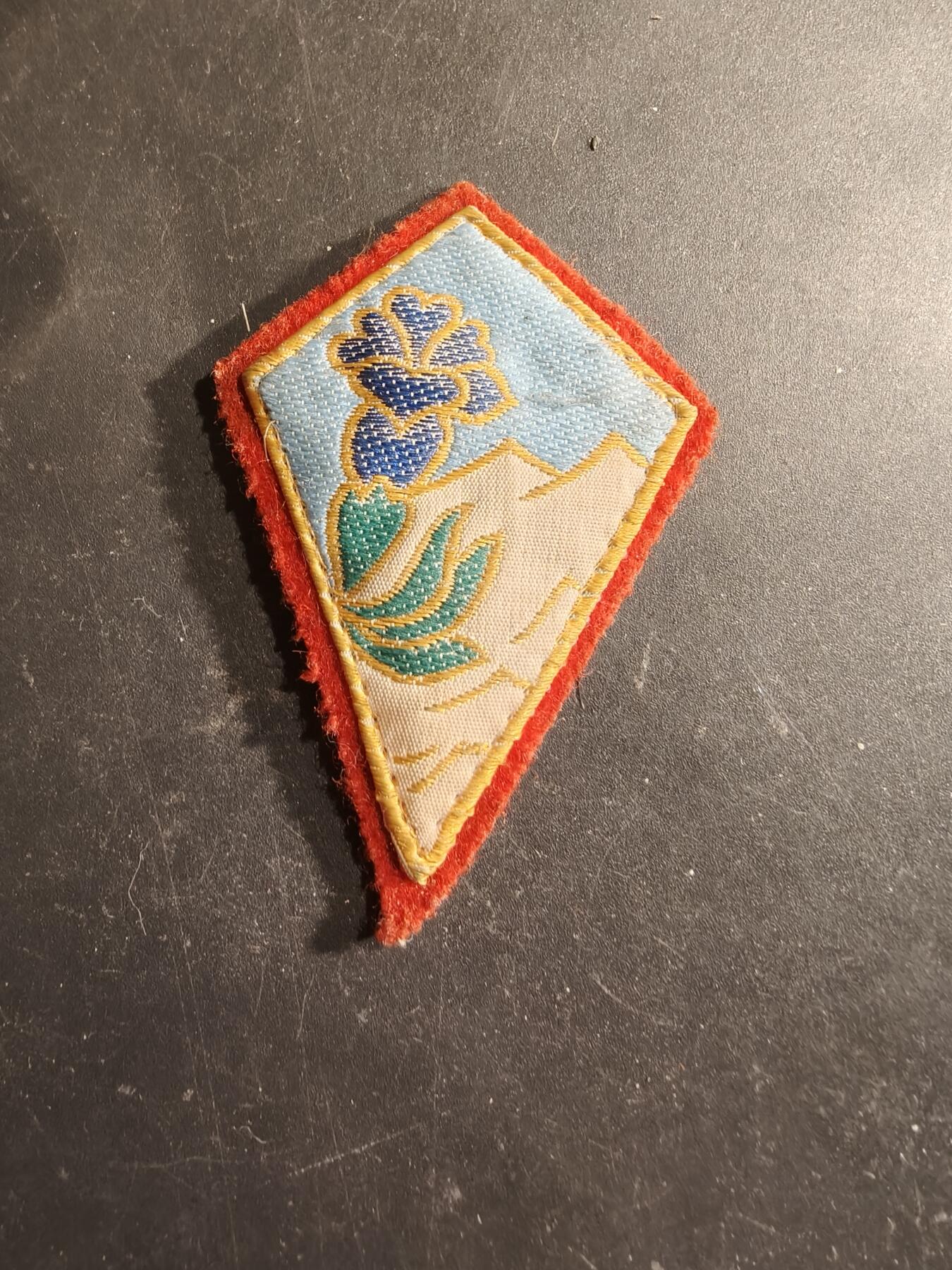 老王徽章第188期