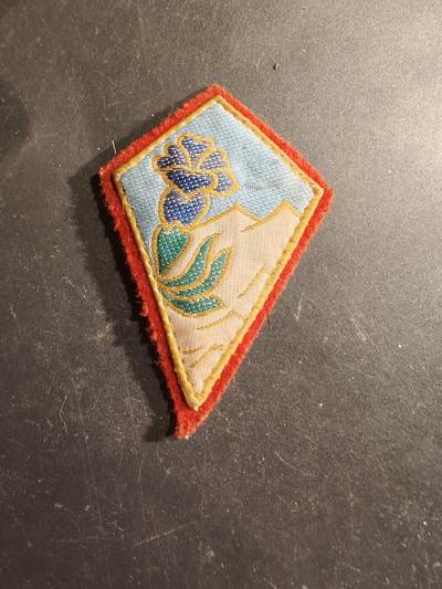 老王徽章第188期 - 法国陆军第27步兵师臂章