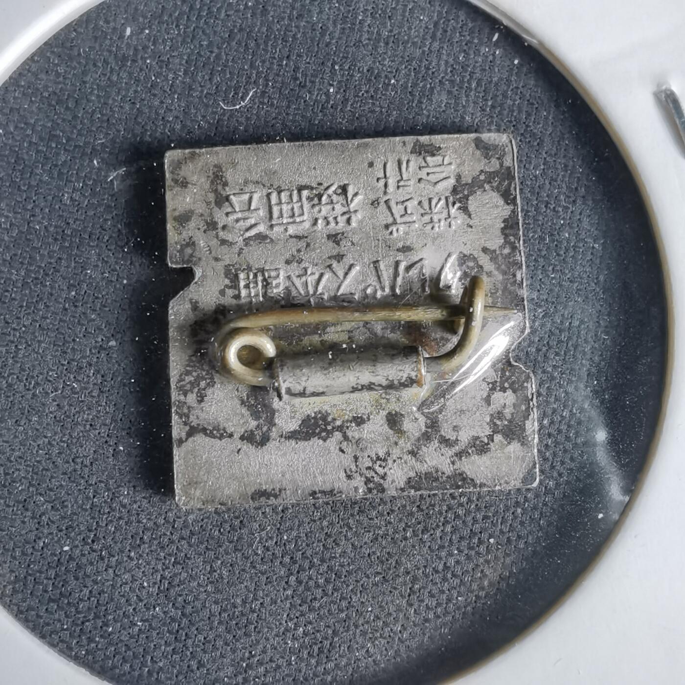 沼泽如烟--第1033场 胸章