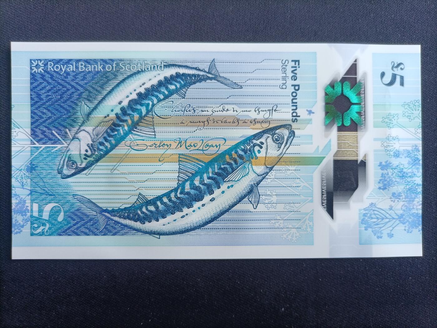 【游宝包邮场】马年第17期 精品单钞场 周日截拍