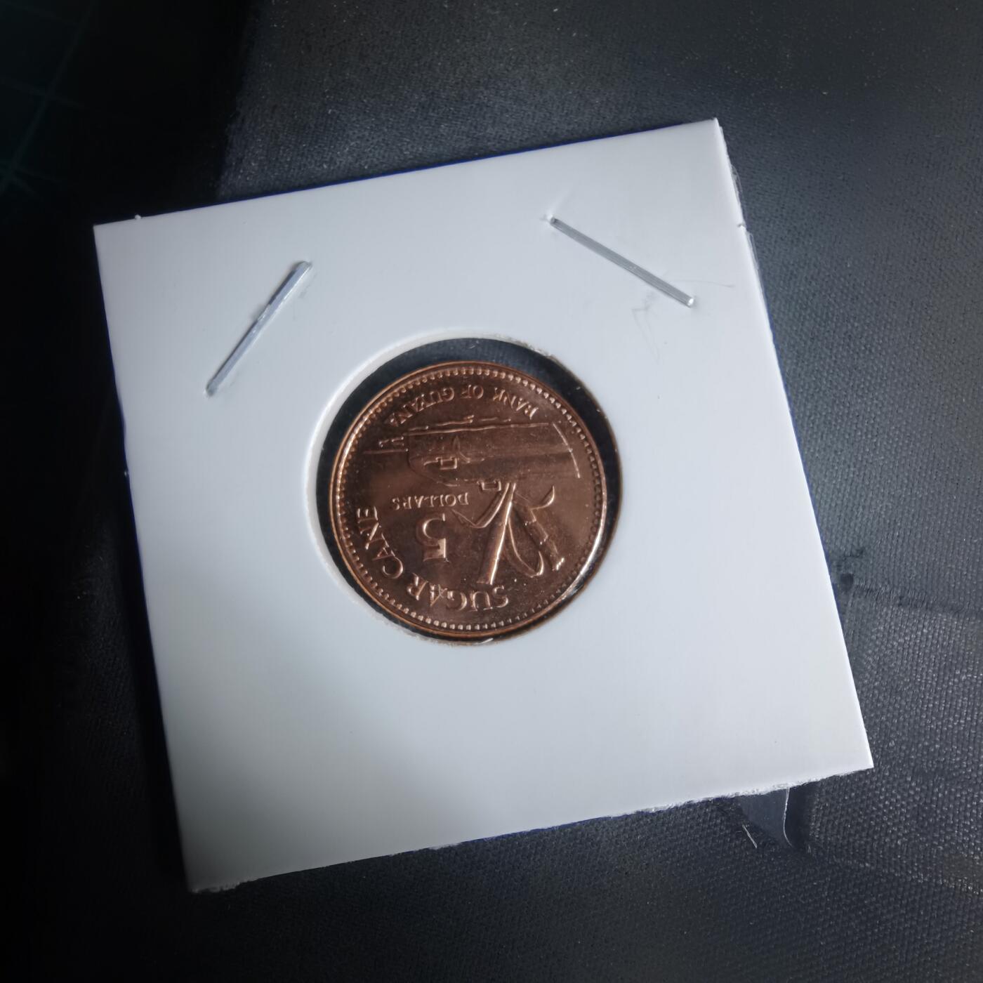 沼泽如烟--第1029场 圭亚那2019年五元