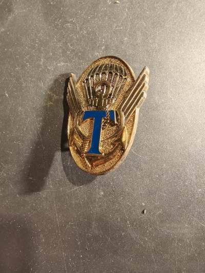 老王徽章第188期 - 法国陆军第342伞兵通信连证章