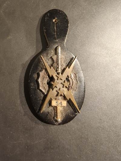 老王徽章第188期 - 法国陆军第54通信团证章