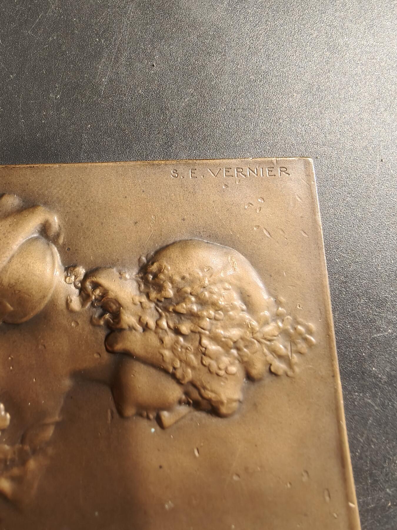 老王徽章第188期 法国玛丽安娜方形大铜章   大师Vernier作品    尺寸74×45mm     重量105.8g