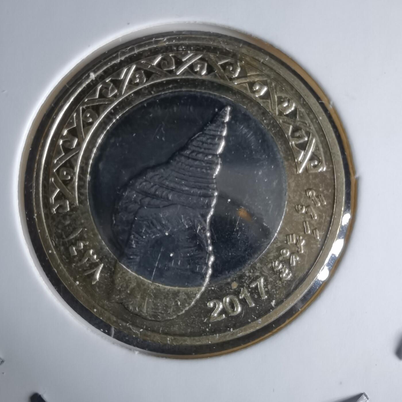 沼泽如烟--第1029场 马尔代夫2017年2卢菲亚