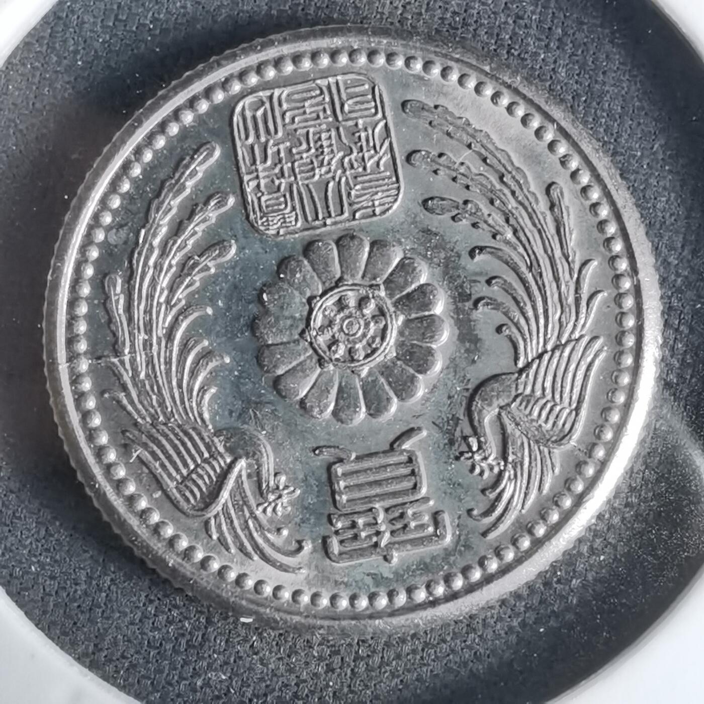 沼泽如烟--第1033场