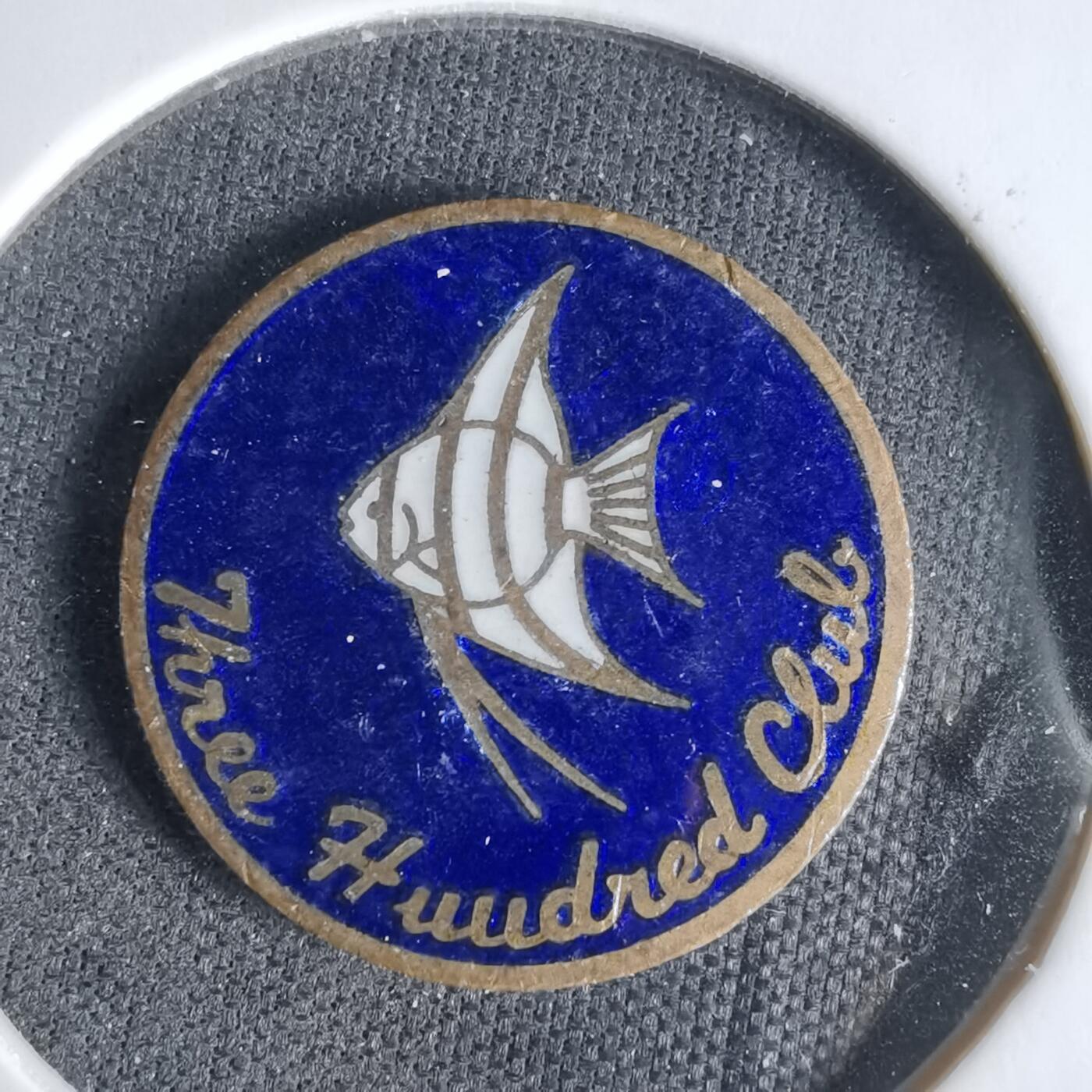 沼泽如烟--第1033场 小鱼