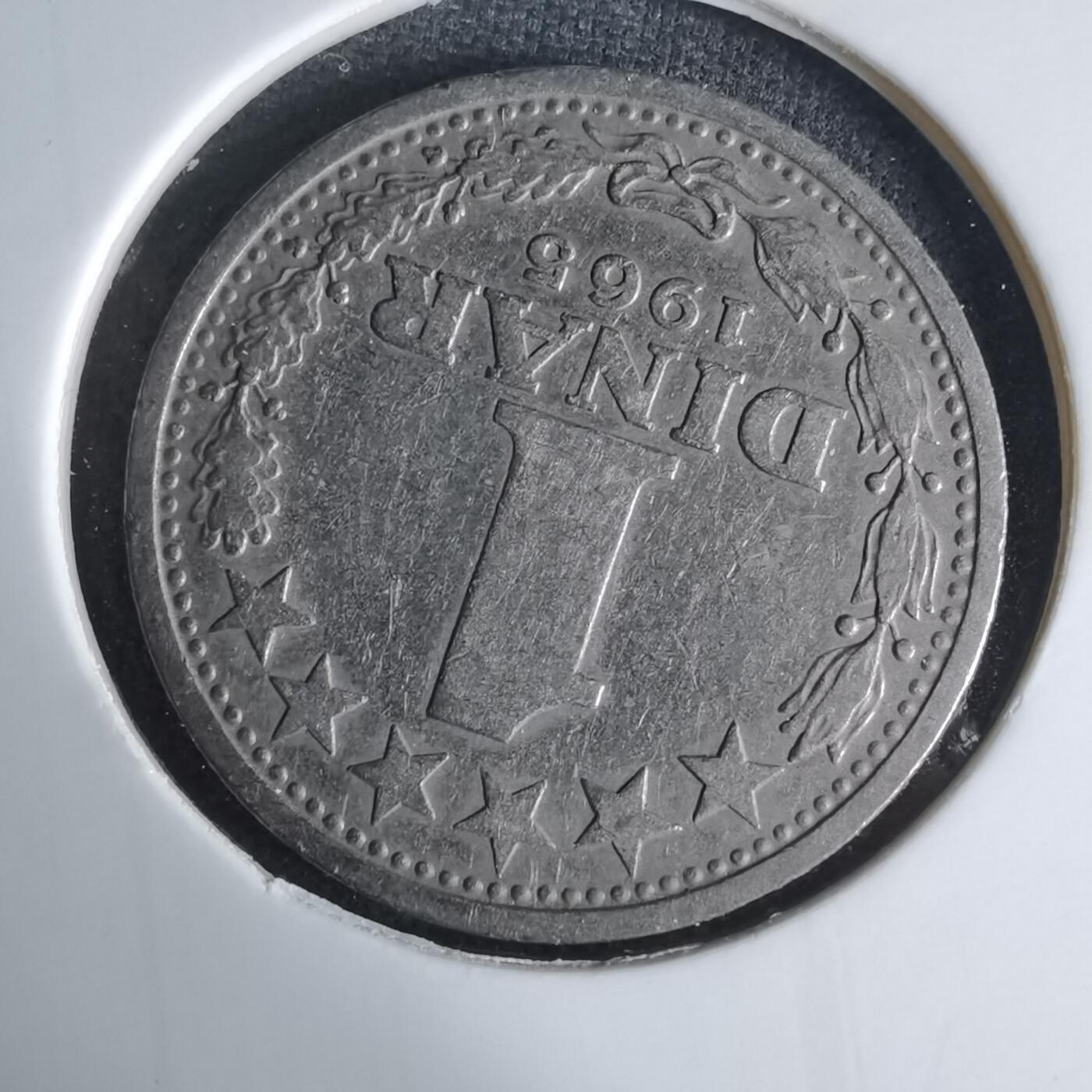 沼泽如烟--第1029场