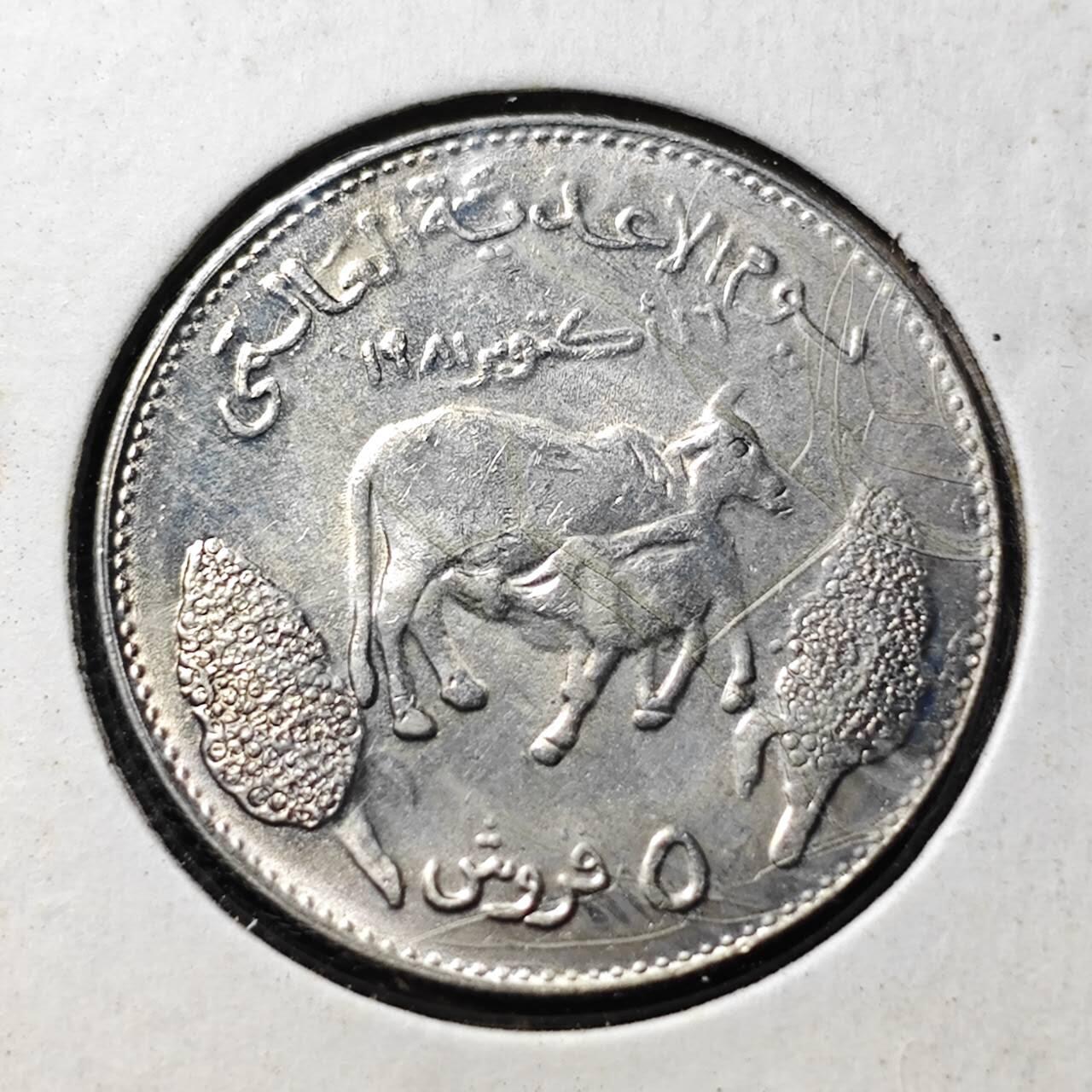 KK钱币收藏小铺   套币专场 2月预留时间 周末发货 苏丹1981年FAO世界粮食日纪念币5格西 稀少