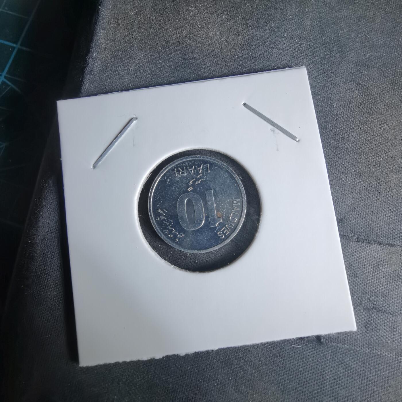 沼泽如烟--第1029场