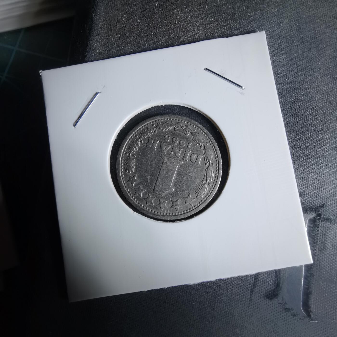 沼泽如烟--第1029场