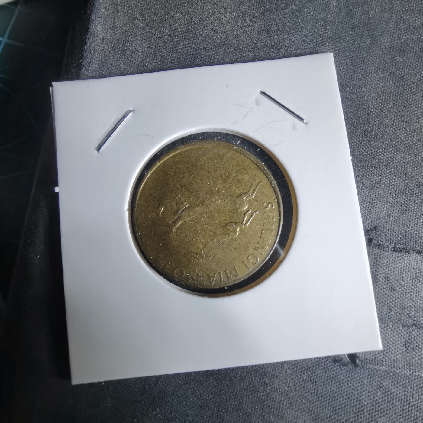 沼泽如烟--第1029场 坦桑尼亚弱打