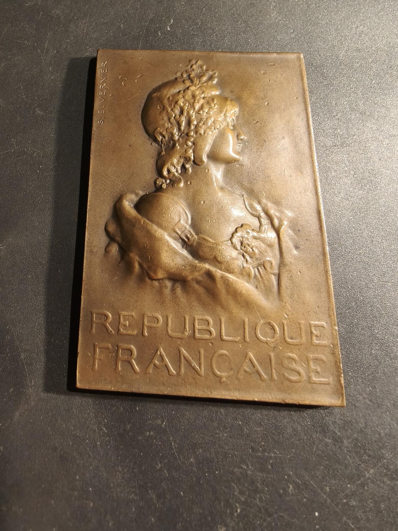 老王徽章第188期 法国玛丽安娜方形大铜章   大师Vernier作品    尺寸74×45mm     重量105.8g