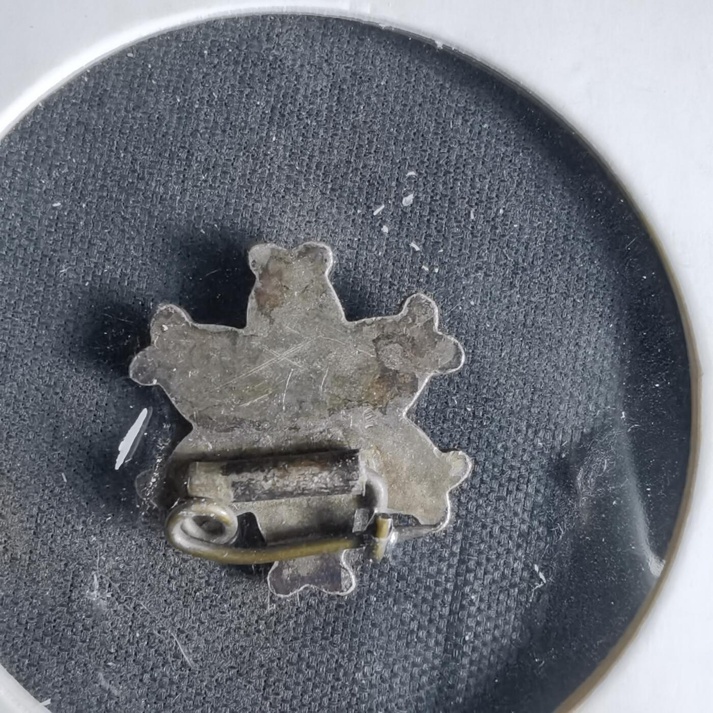 沼泽如烟--第1033场 胸章