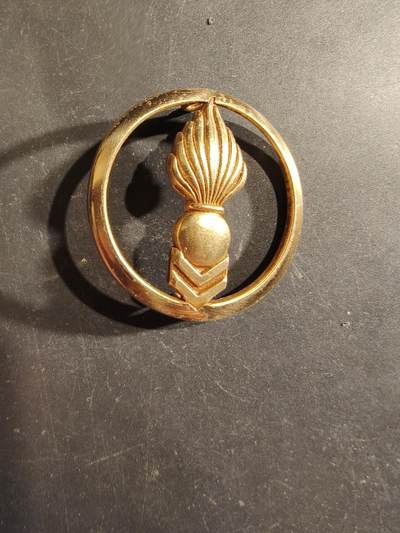 老王徽章第188期 - 法国陆军技术与行政管理军团金色贝雷帽徽