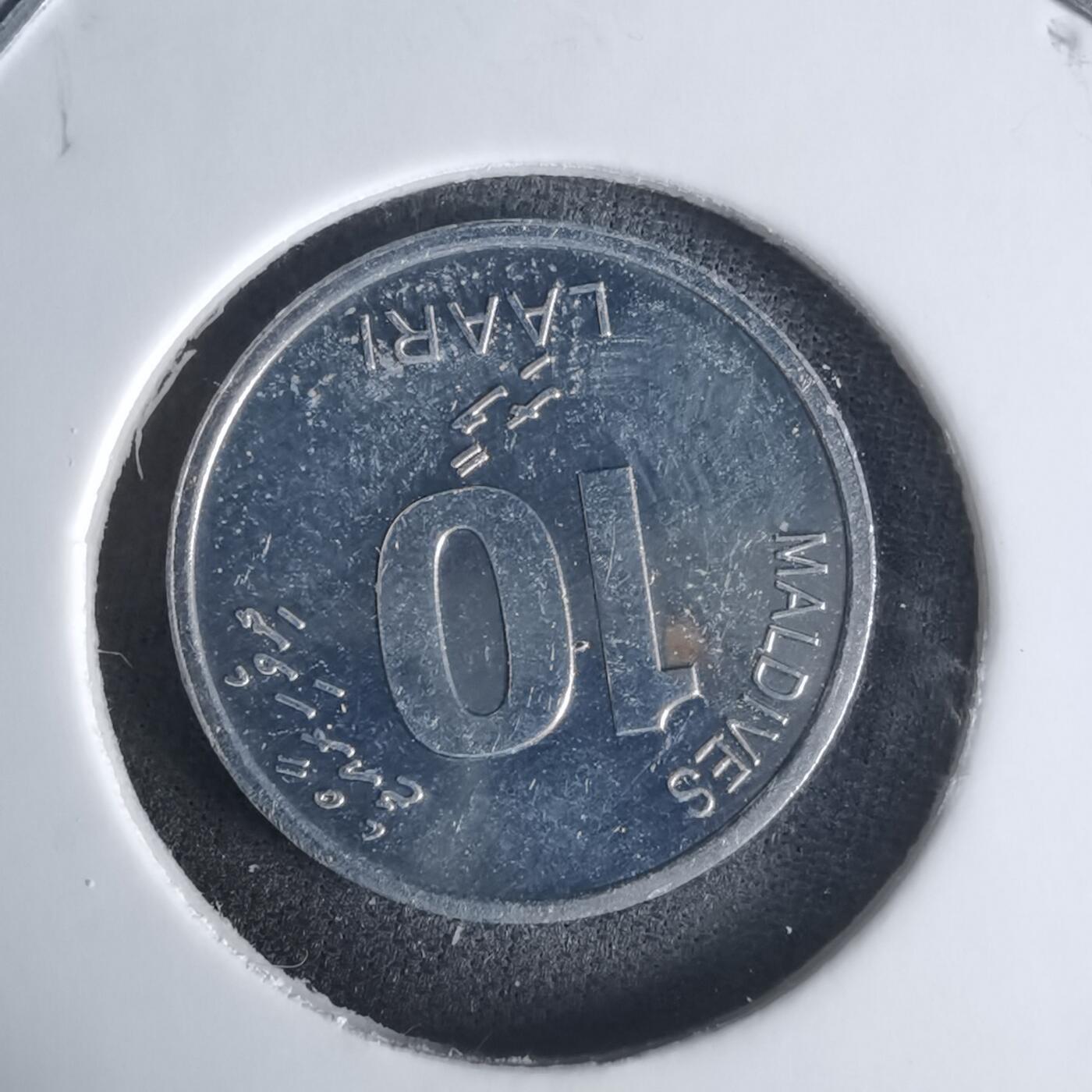 沼泽如烟--第1029场