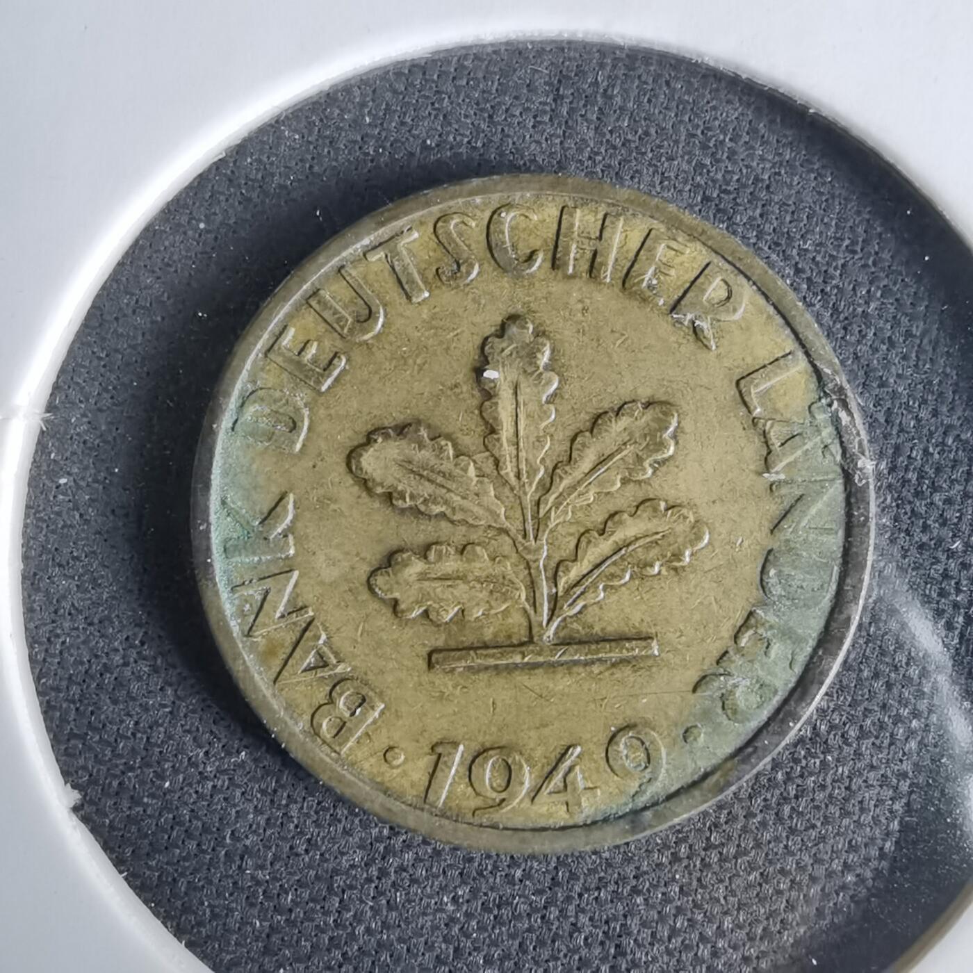 沼泽如烟--第1033场