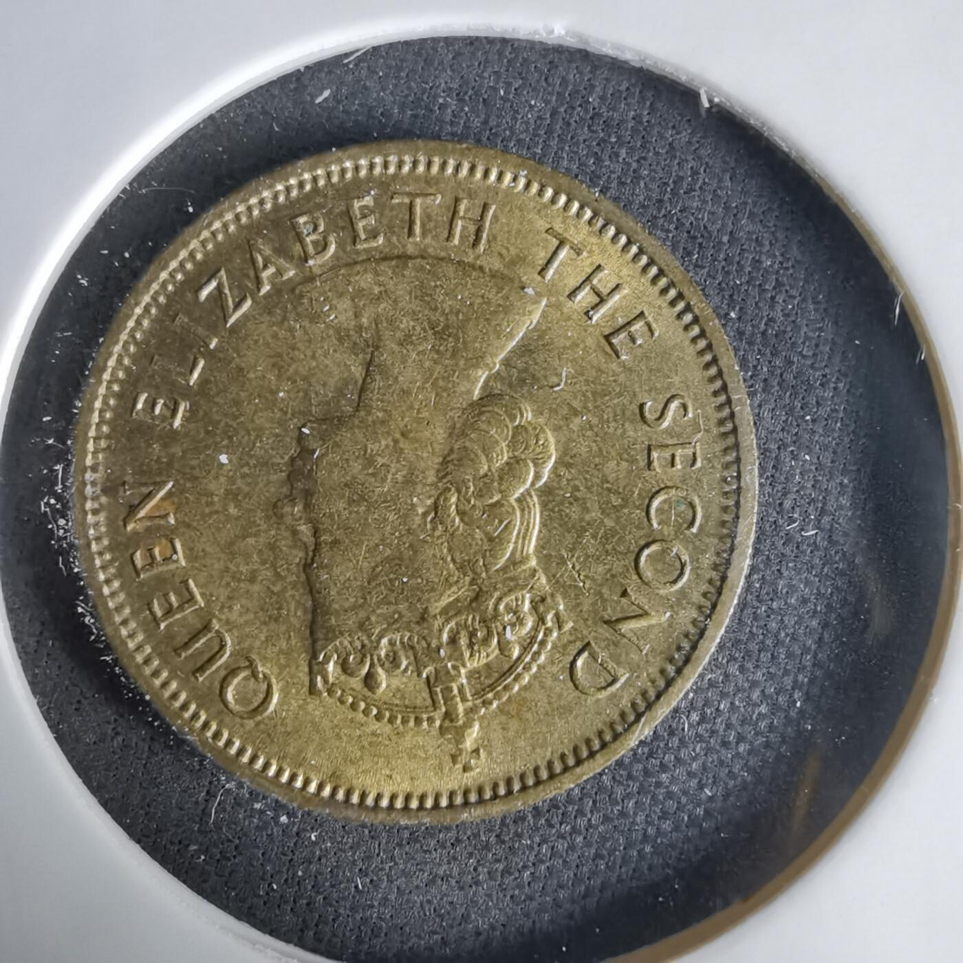 沼泽如烟--第1033场