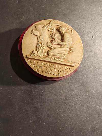 老王徽章第188期 - 法国电力公司大铜章    原盒塑料盒有损    直径54mm    重量71.5g