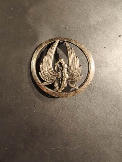 老王徽章第188期 - 法国陆军运输兵银色贝雷帽徽