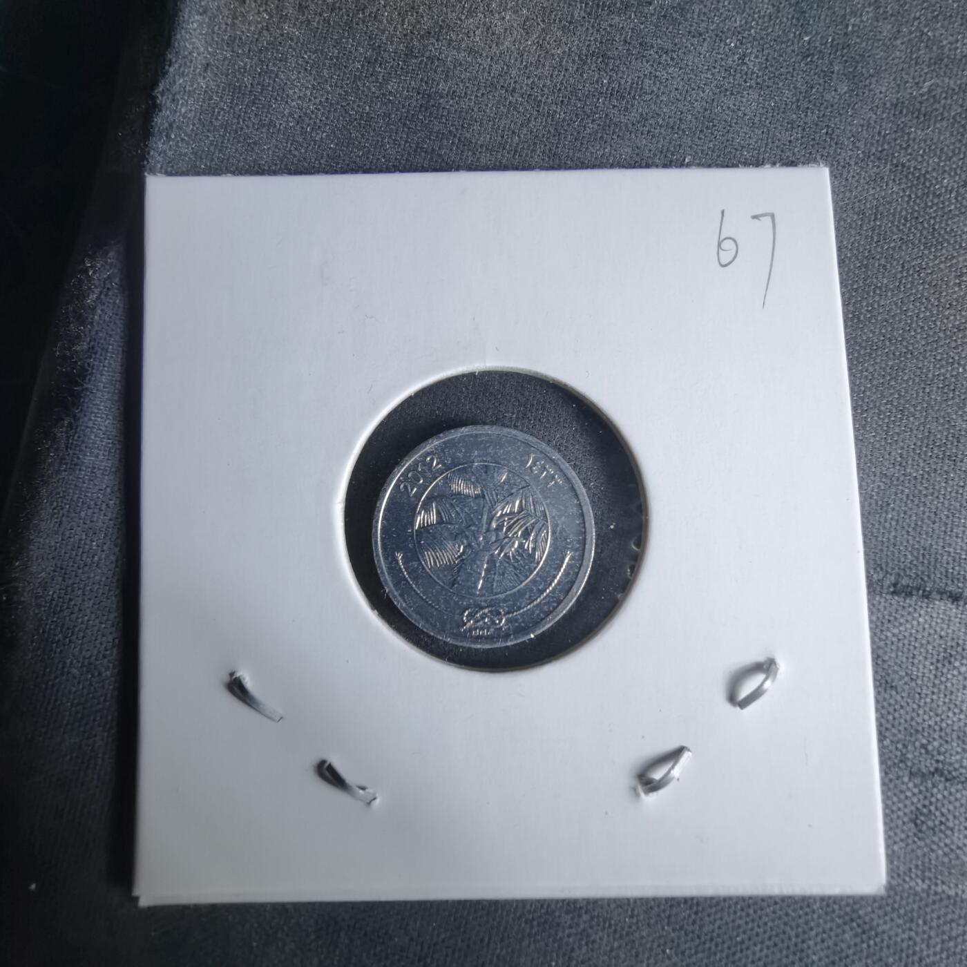 沼泽如烟--第1029场