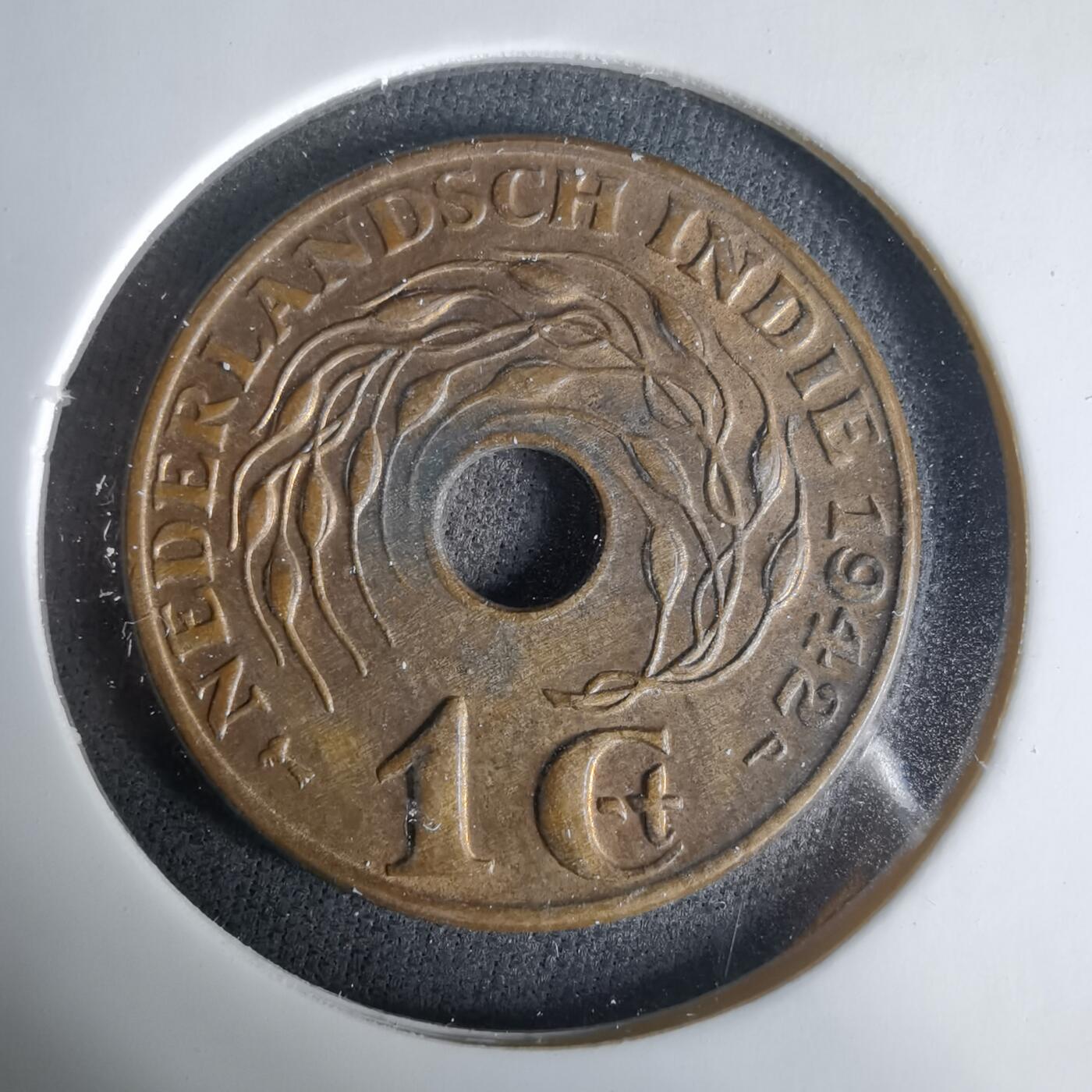 沼泽如烟--第1033场