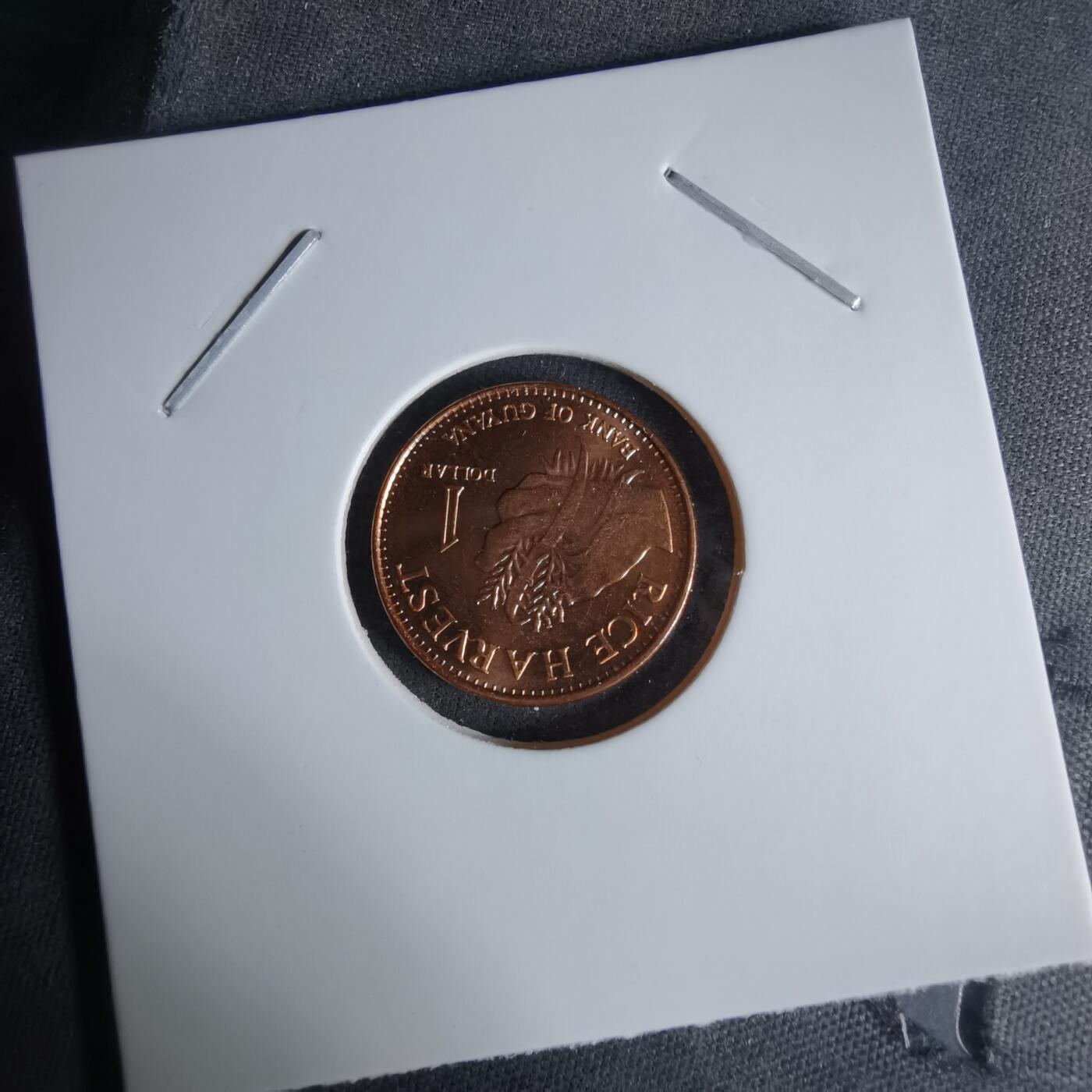 沼泽如烟--第1029场 圭亚那2015年一元