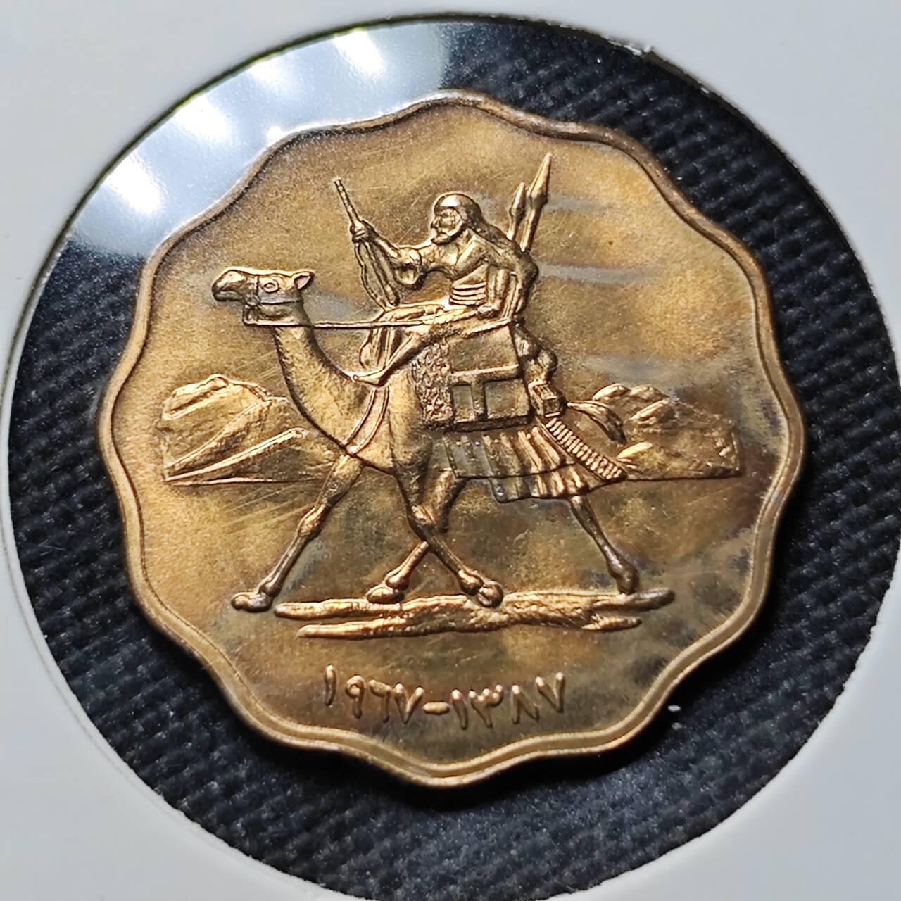 KK钱币收藏小铺   套币专场 2月预留时间 周末发货  苏丹5米利姆铜币 好品