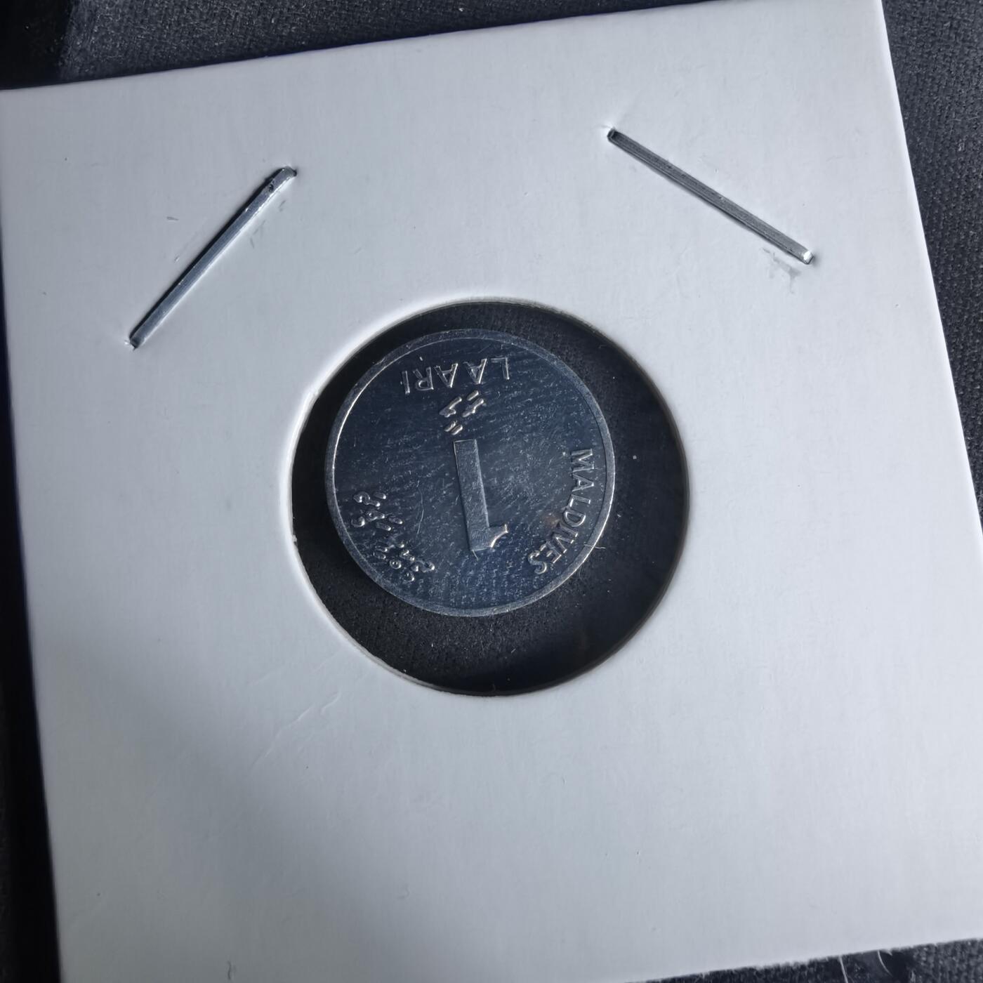 沼泽如烟--第1029场