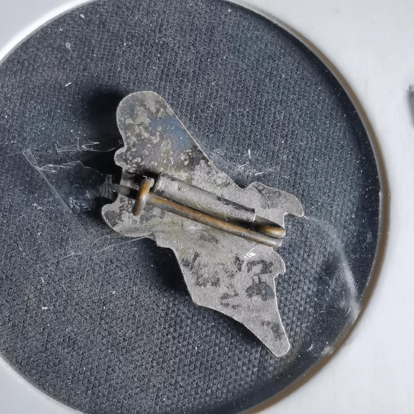 沼泽如烟--第1033场 胸章