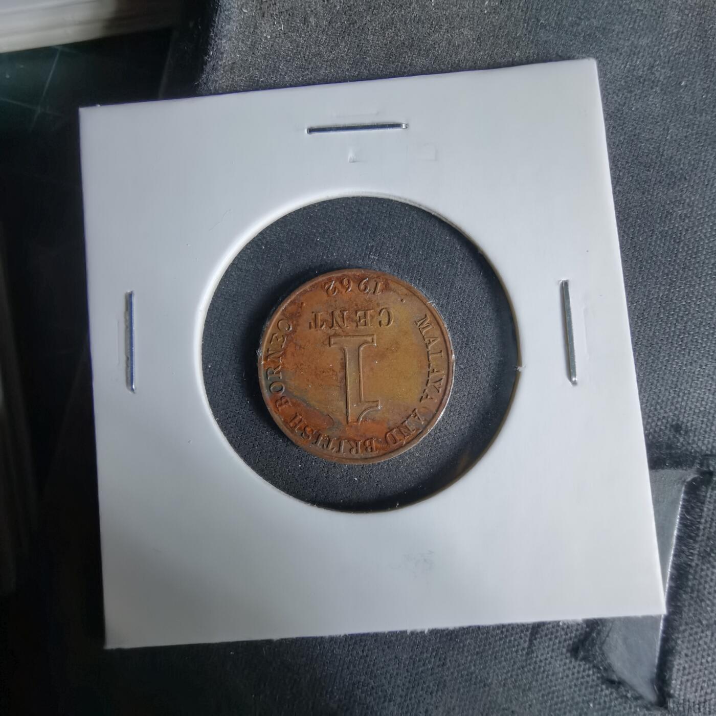 沼泽如烟--第1033场