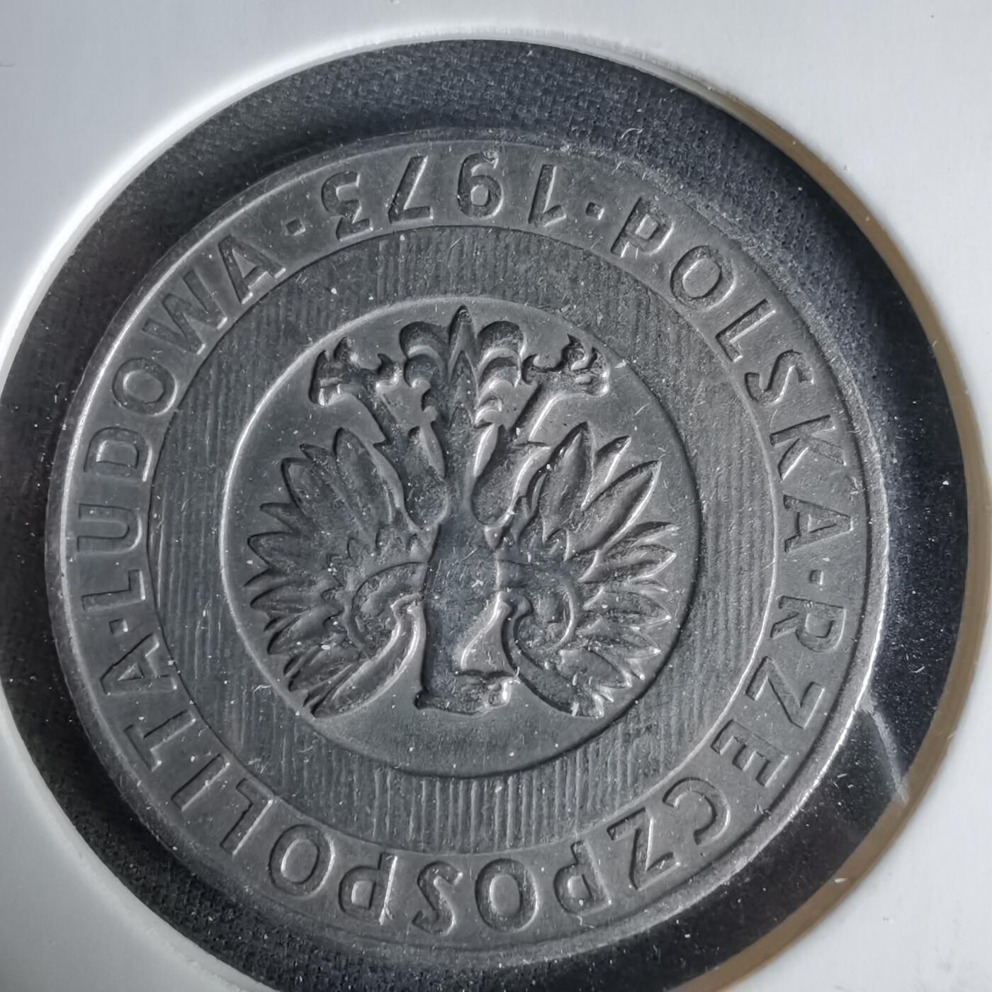 沼泽如烟--第1033场