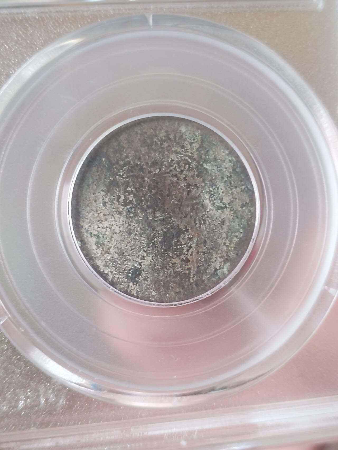 银币 1890年  广东省造光绪元宝二角银币。