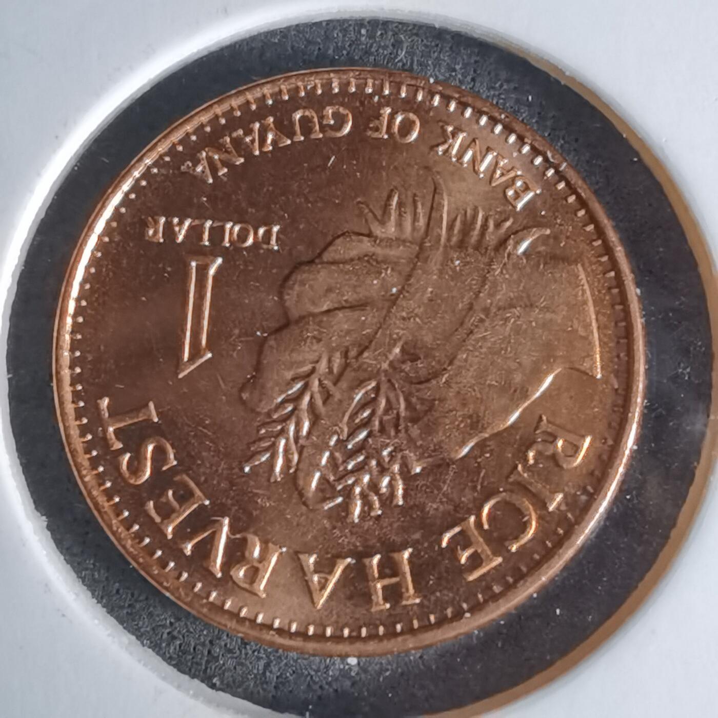 沼泽如烟--第1029场 圭亚那2015年一元