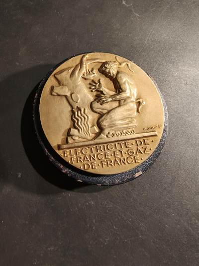 老王徽章第188期 - 法国电力公司大铜章    原盒   大师Dropsy作品    直径54mm     重量71.4g
