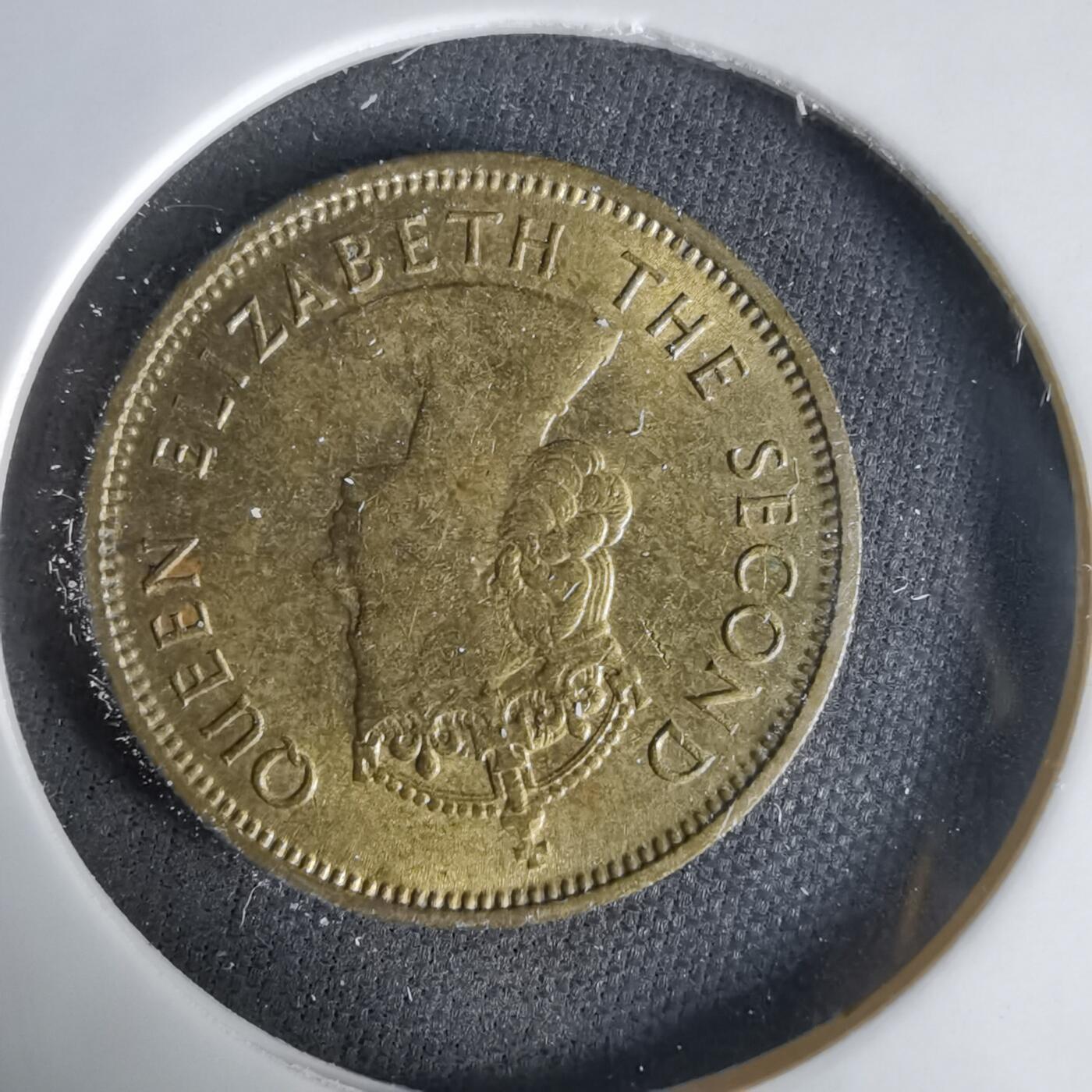 沼泽如烟--第1033场