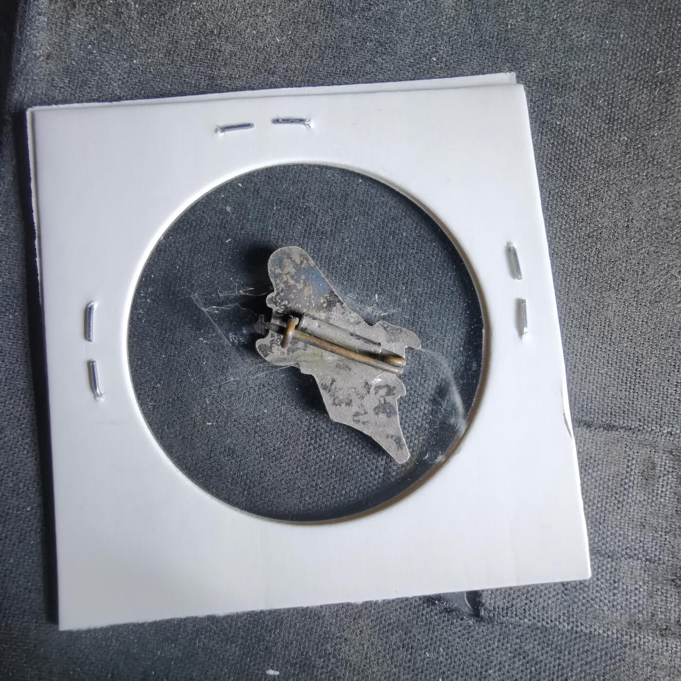 沼泽如烟--第1033场 胸章