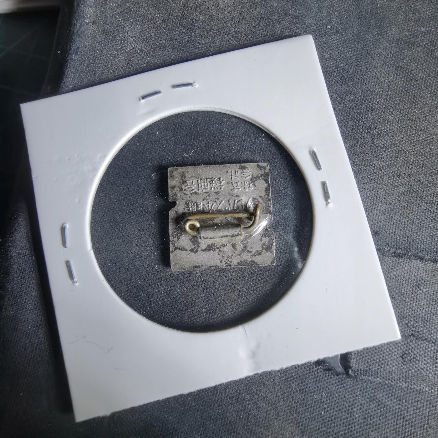 沼泽如烟--第1033场 胸章