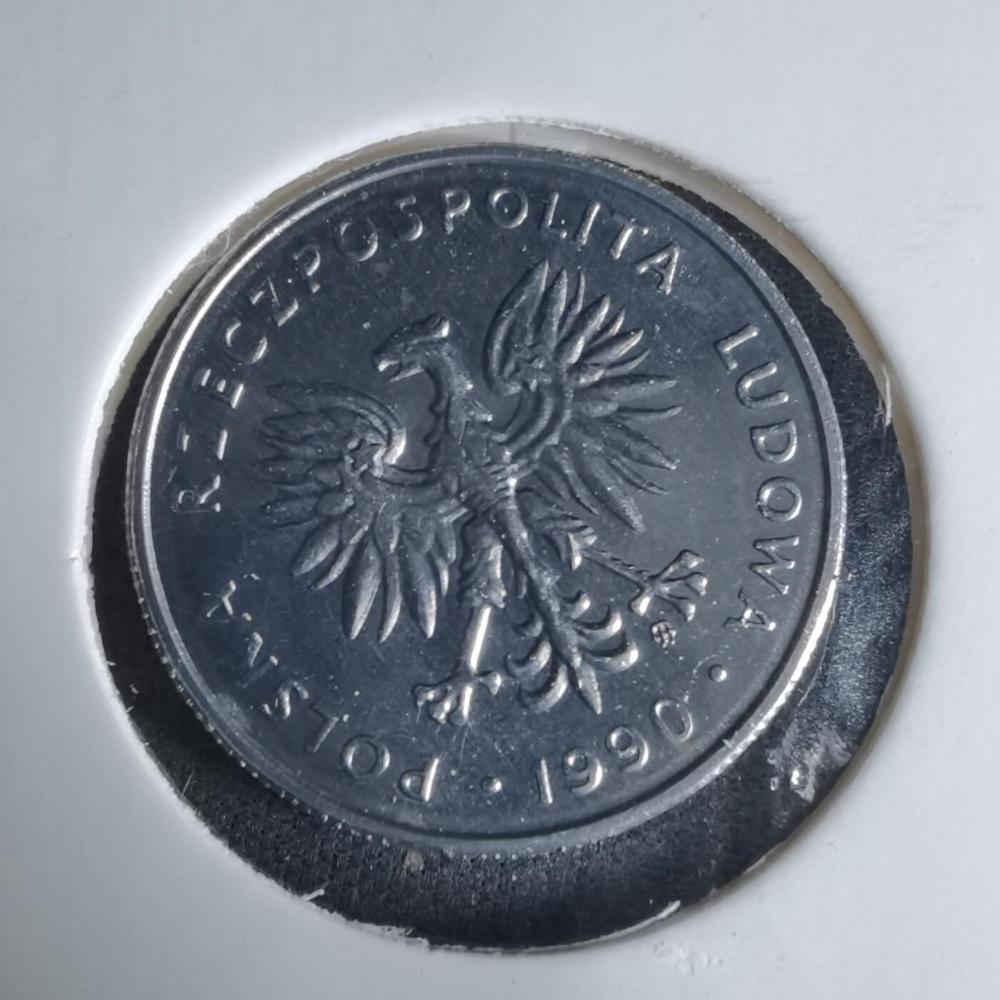 沼泽如烟--第1029场