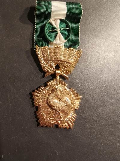 老王徽章第188期 - 法国金级军官级地方嘉奖奖章    